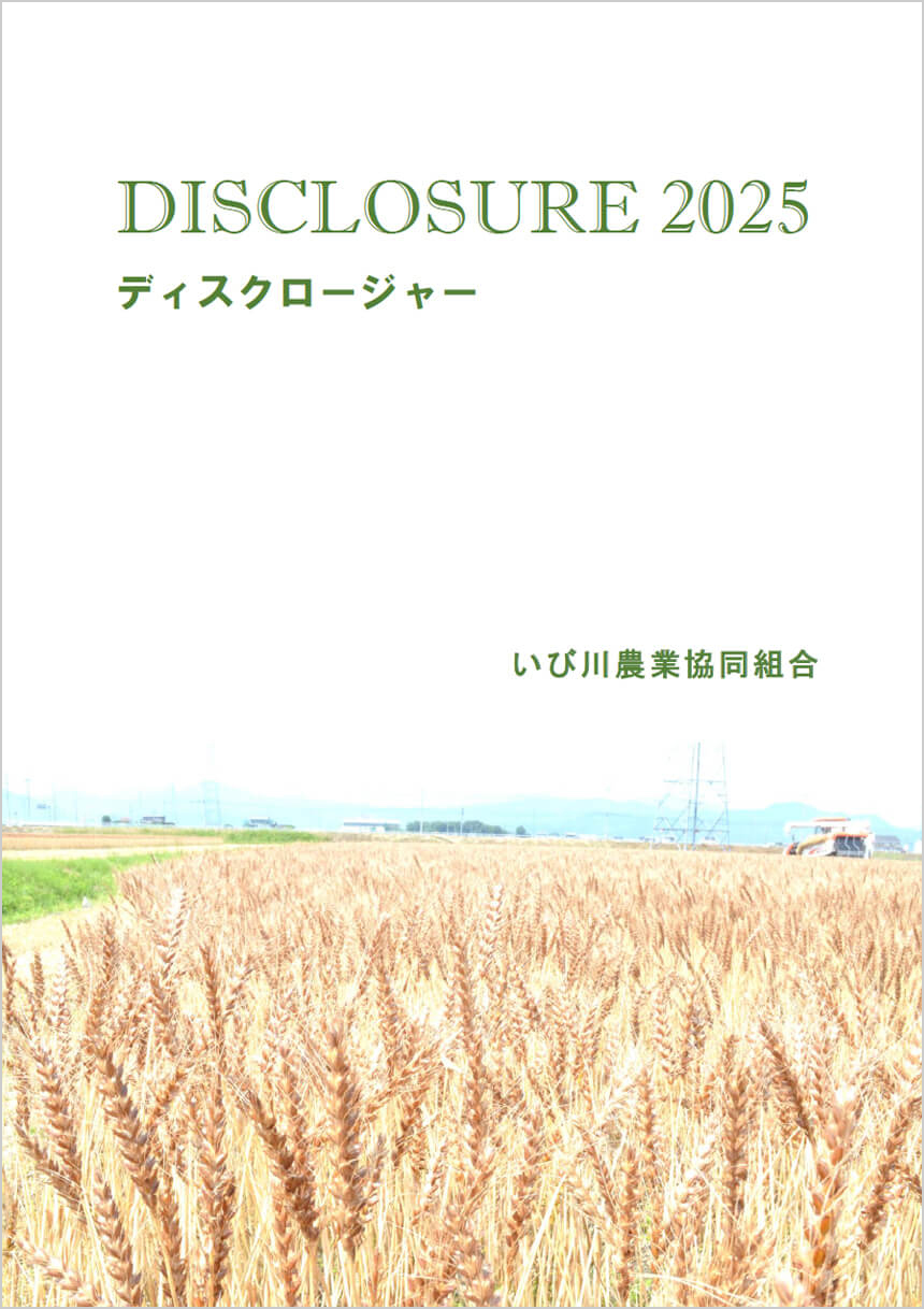 ディスクロージャー