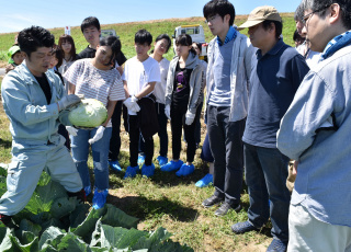 収穫方法を指導する当JA職員