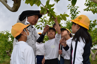 大野町立西小学校