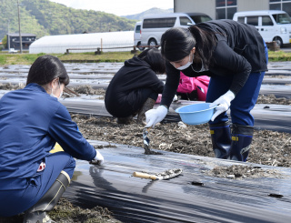 丁寧に播種を行いました！