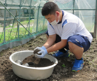 生産者の下で土づくりをする様子